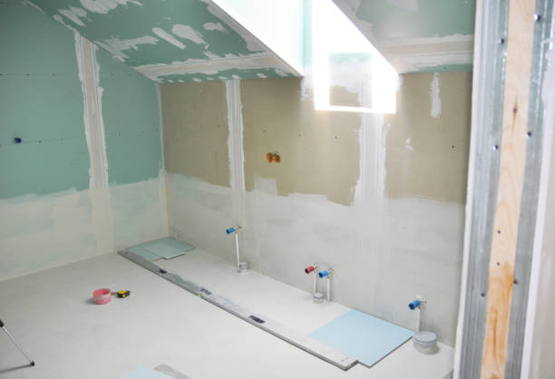 Best Commercial Mold Inspection  in Downers Grove, IL