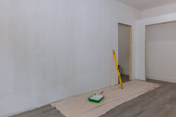 Best HVAC Mold Inspection and Cleaning  in Downers Grove, IL