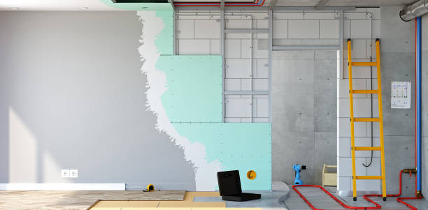 Mold Odor Removal Services in Downers Grove, IL