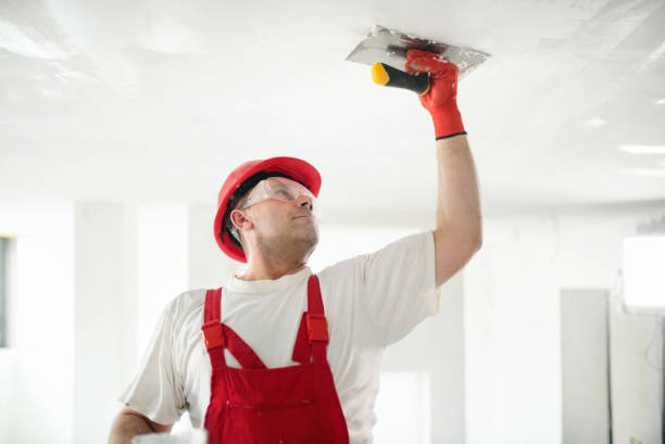 Best Mold Documentation for Insurance Claims  in Downers Grove, IL