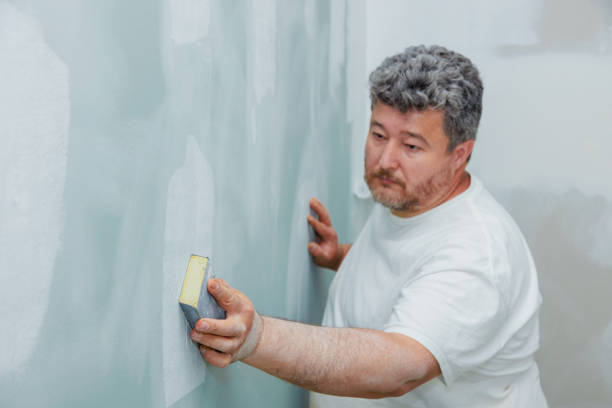 Best Post-Construction Mold Inspection  in Downers Grove, IL