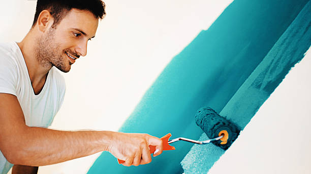 Trusted Downers Grove, IL Mold Removal Experts
