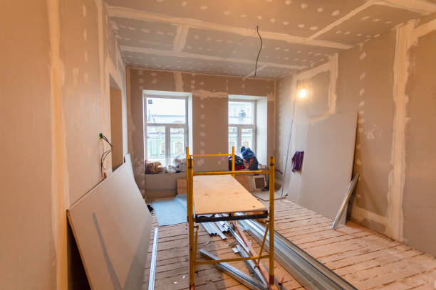 Best Mold Removal for HVAC Installations  in Downers Grove, IL